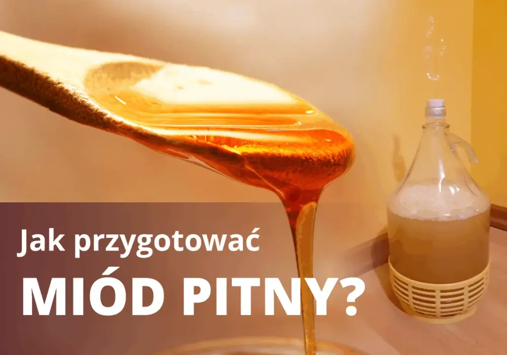 Miód pitny - przepis krok po kroku. Uniknij błędów!