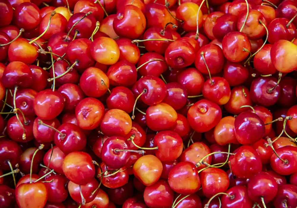 Czereśnie kcal - Ile kalorii ma 100 g i garść? Sprawdź porcje