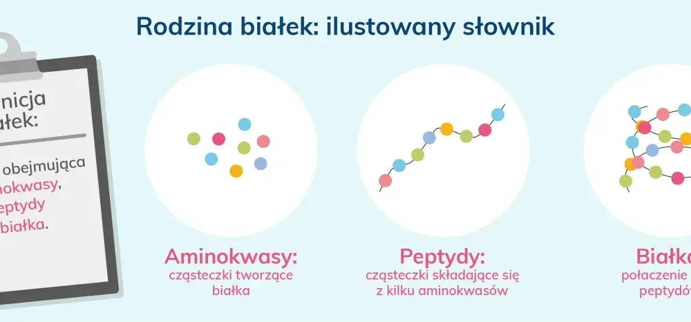 Aminokwasy - Jak mądrze dbać o białko i kiedy warto suplementować?