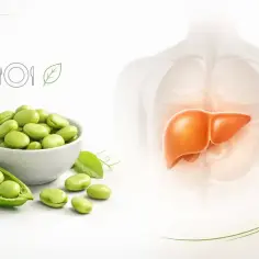 Zdrowa dieta z bobem, niskokalorycznym źródłem białka, wspiera wątrobę. Ikony zdrowia i jedzenia podkreślają jego korzyści.