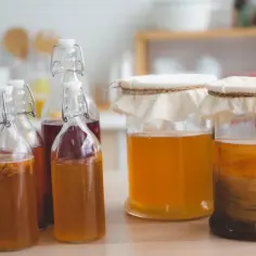 Kombucha czy ma alkohol? Sprawdź, co musisz wiedzieć o jej zawartości