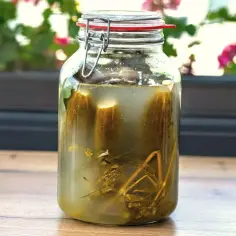 Słoik z ogórkami kiszonymi, które są zdrowe dzięki procesowi fermentacji. W tle zielone liście i różowe kwiaty.