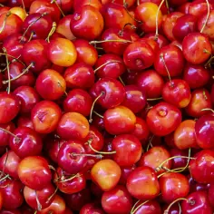 Mnóstwo soczystych czereśni, idealnych na zdrową przekąskę. Sprawdź, ile mają czereśnie kcal!
