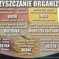 Jak oczyścić organizm? Grafika pokazuje produkty wspierające Krew, Limfę, Wątrobę, Trzustkę, Nerki, Pęcherzyk żółciowy i Jelita.