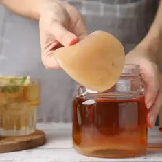 Jak hodować kombuchę w domu - proste kroki do udanego SCOBY
