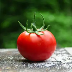 Czerwony pomidor na kamiennym blacie, idealny do zdrowej diety. Niska zawartość pomidor kcal sprawia, że jest świetnym dodatkiem do posiłków.