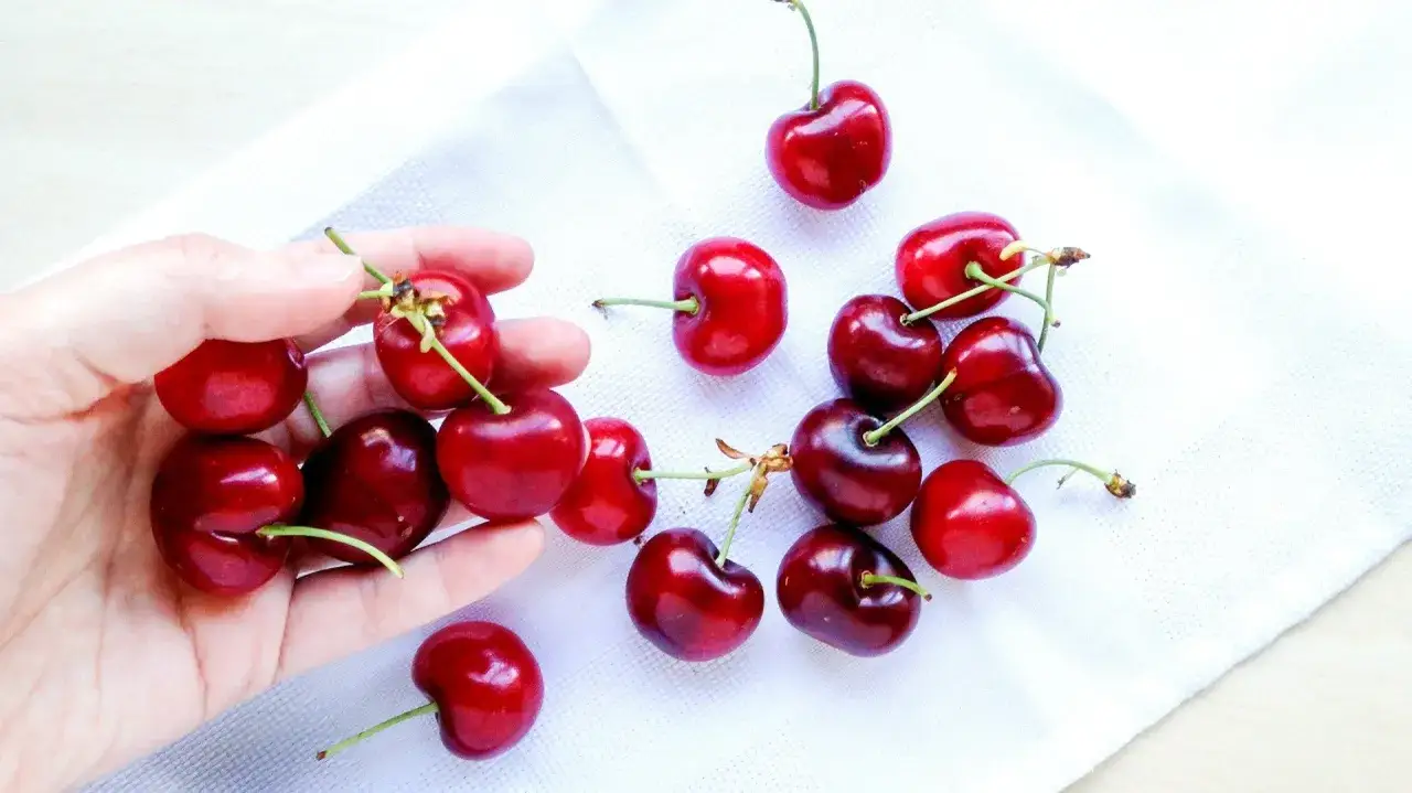 Garść soczystych czereśni, idealnych na zdrową przekąskę. Niskie czereśnie kcal to pyszna opcja.