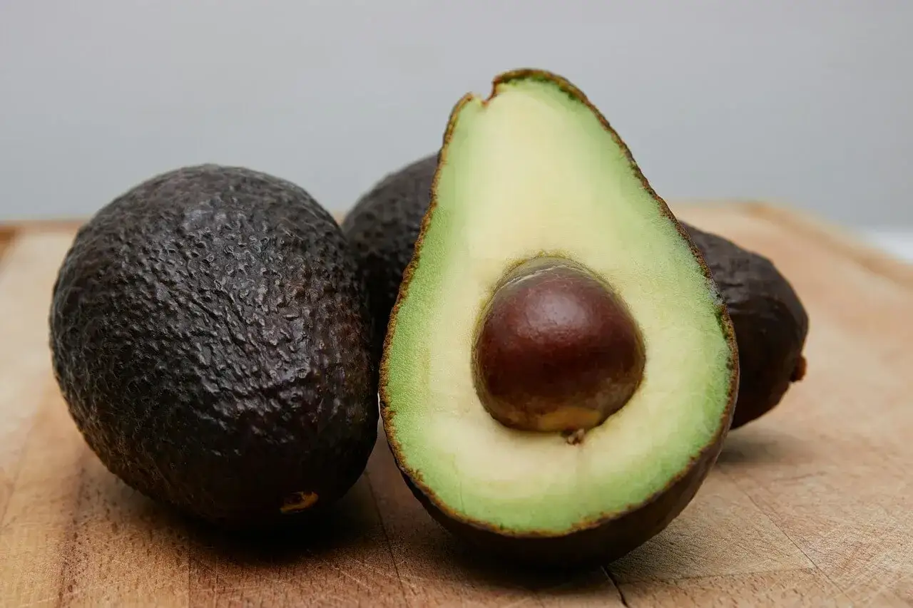 Dwa całe awokado i jedno przekrojone na pół, z widocznym pestką. Zastanawiasz się nad awokado kcal?