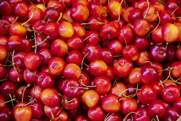 Czereśnie kcal - Ile kalorii ma 100 g i garść? Sprawdź porcje