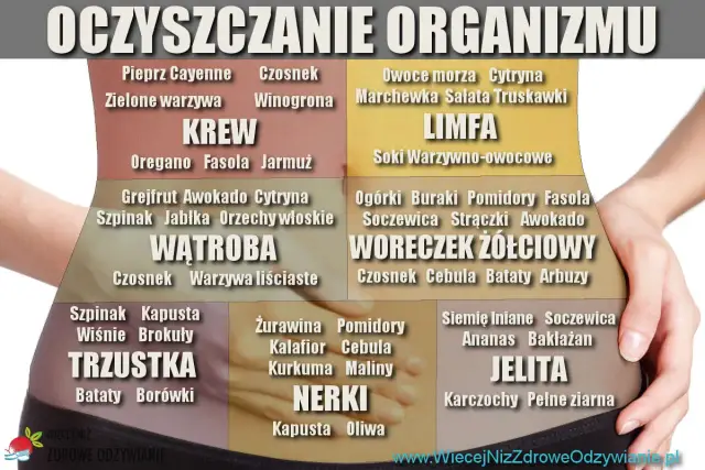 Jak oczyścić organizm? Grafika pokazuje produkty wspierające Krew, Limfę, Wątrobę, Trzustkę, Nerki, Pęcherzyk żółciowy i Jelita.